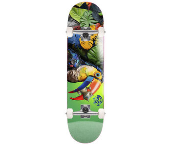 Push Toucan FP Complete - 8.0