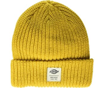 Dickies Low Pro Beanie