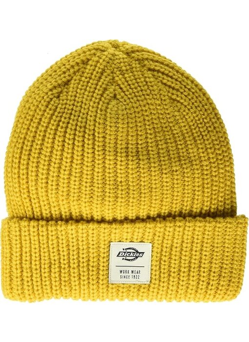 Dickies Low Pro Beanie