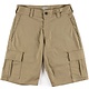 Dickies Skate Cargo DS Shorts