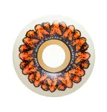 Bones Bones X-Formula V6 Wingin It 97a Wheels