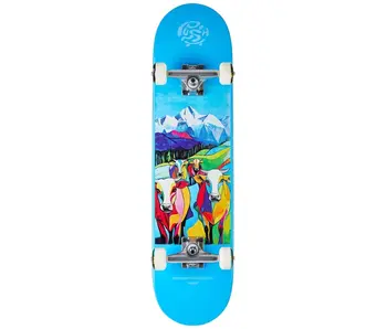 Push Nepal MLSL Complete - 7.75