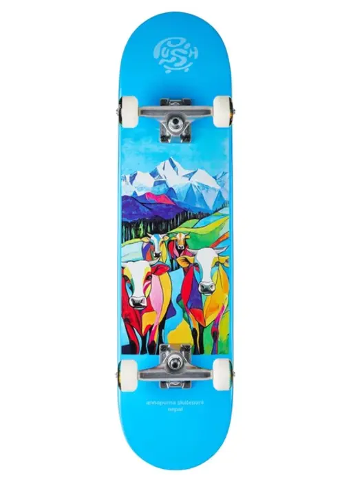 Push Nepal MLSL Complete - 7.75