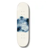 Polar Polar Stroke Logo Cream Deck - 8.125