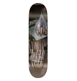 DGK DGK X Godfitti No.4 Deck - 8.25