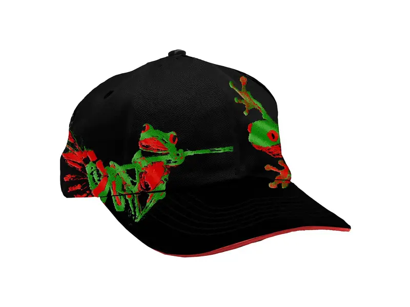 WKND WKND Croaking Snapback - Black