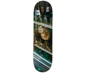 GX1000 Bodega Cat