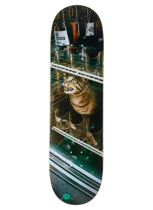 GX1000 Bodega Cat