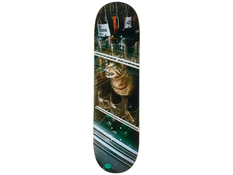 GX1000 GX1000 Bodega Cat
