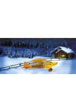 Winter Scene Hand Painted Ornament