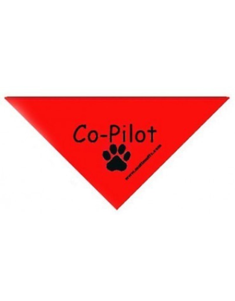 Co-Pilot Triangle Bandana