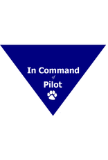 In Command of Pilot Triangle Bandana