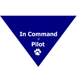 In Command of Pilot Triangle Bandana