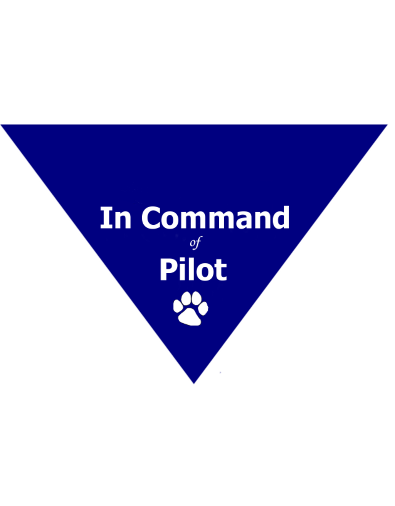 In Command of Pilot Triangle Bandana