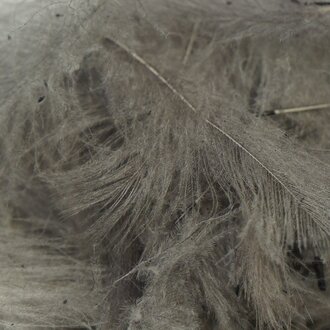 TroutHunter Products Premium Dyed CDC - Medium Dun - Bulk 3.5g