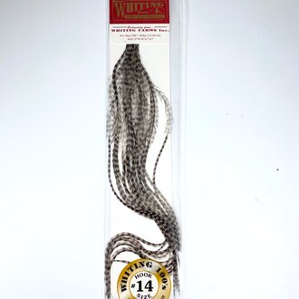 Whiting Farms Whiting 100 Pack Grizzly Medium Dun Whiting Farms Whiting 100 Pack Grizzly Medium Dun