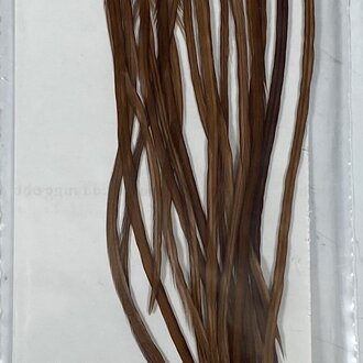 Whiting Farms Whiting 100 Pack Brown