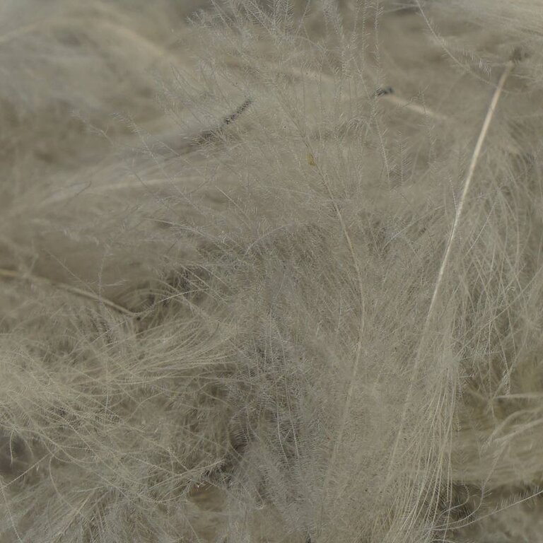 TroutHunter Products TroutHunter Premium Dyed CDC - Light Dun - Bulk 3.5g