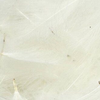 TroutHunter Products TroutHunter Premium CDC - Natural White - Bulk 3.5g