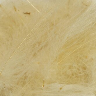 TroutHunter Products TroutHunter Premium Dyed CDC - Cream - Bulk 3.5g