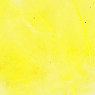 TroutHunter Products TroutHunter Premium Dyed CDC - Pale Yellow - Small .5g