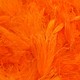 TroutHunter Products Sale TroutHunter CDC Puffs - Fluorescent Orange - Small .5g