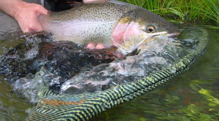 Fishpond Fishpond Nomad El Jefe Net - River Armor 41.5"