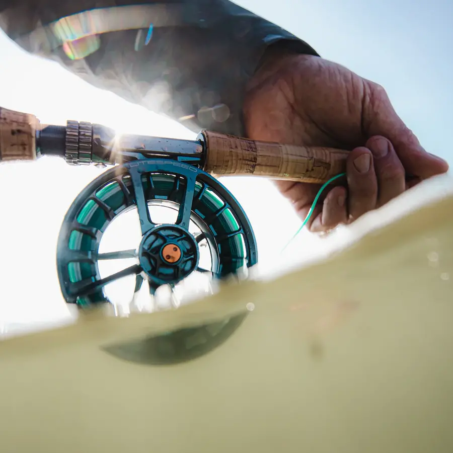 Reels