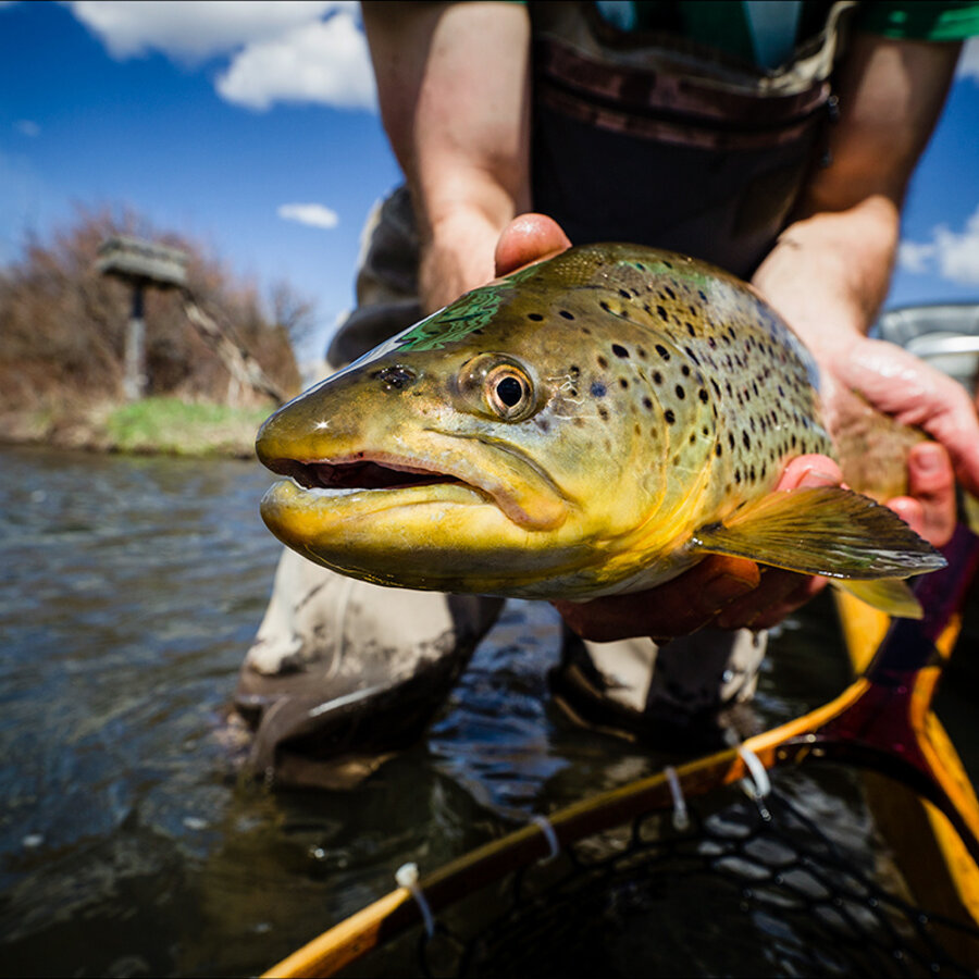 Wading Gear