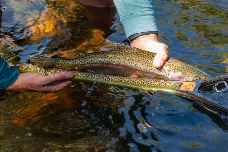 Fishpond Fishpond Nomad Middle Fork Net