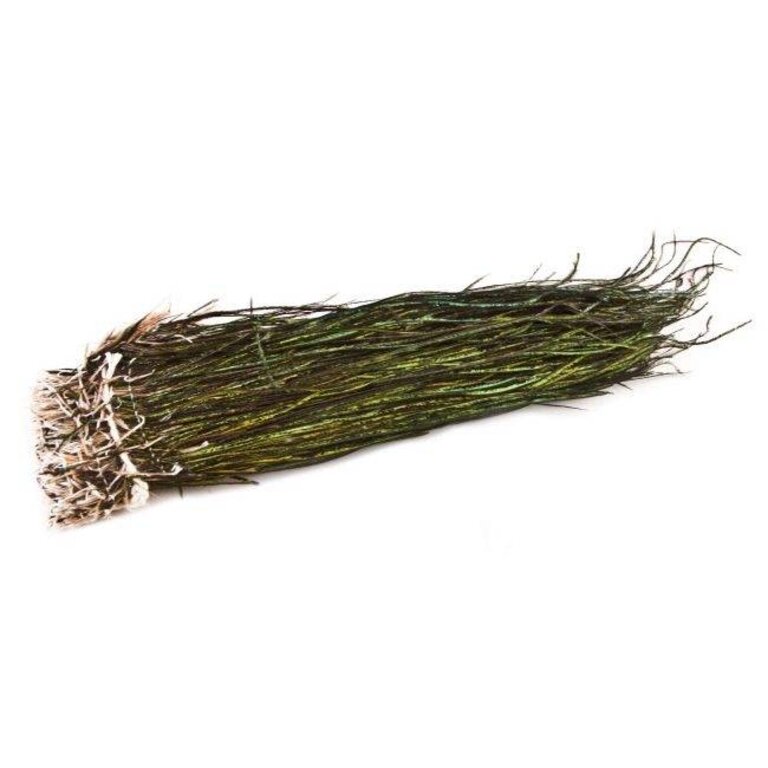 Nature's Spirit Strung Peacock Hearl