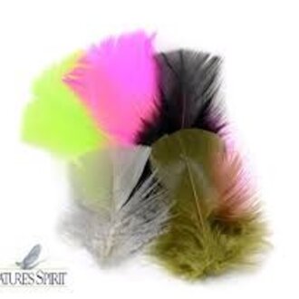 Nature's Spirit Turkey Flats