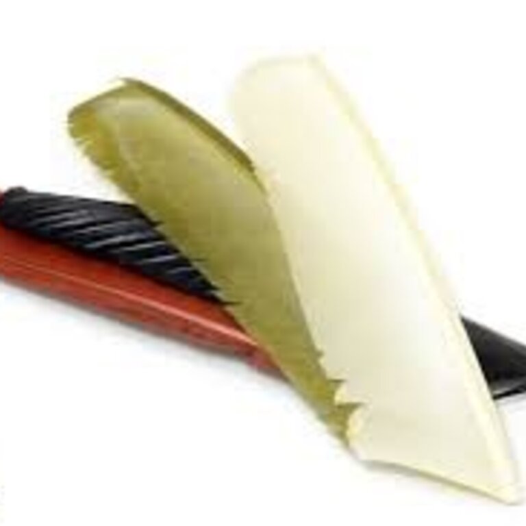 Turkey Biot Quills TroutHunter Island Park, ID