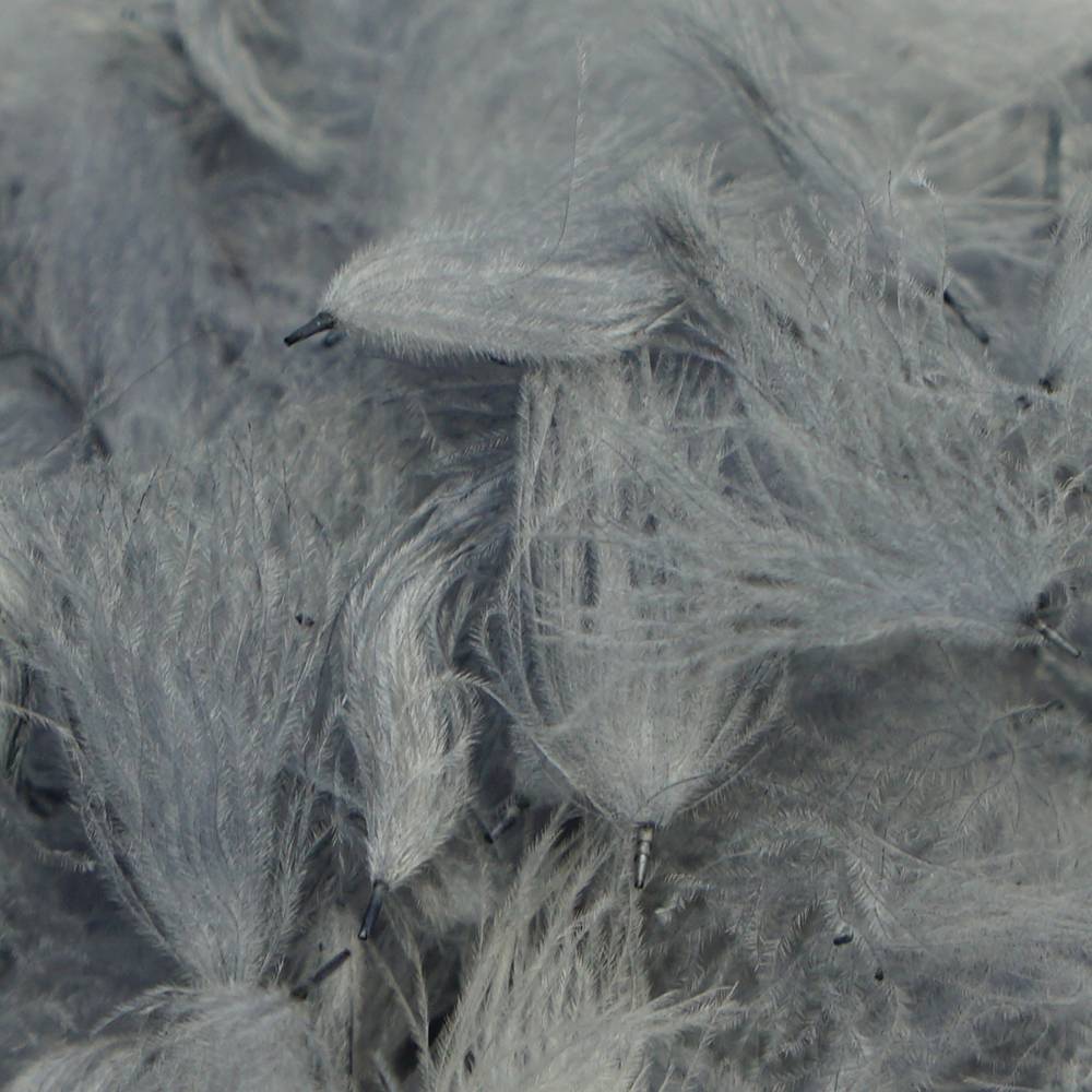 CDC Puffs Pale Dun Bulk 3.5g TroutHunter Island Park, ID