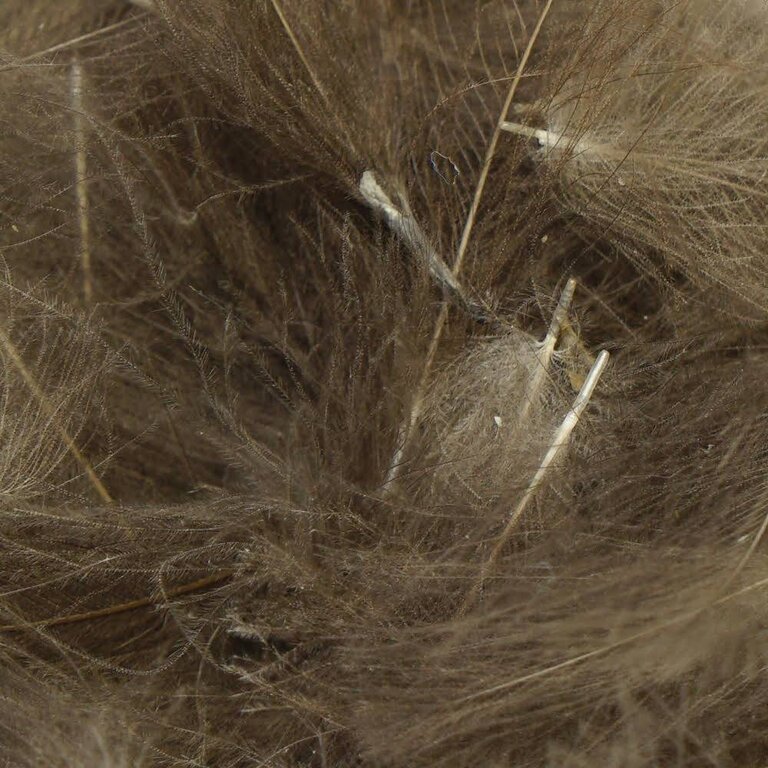 TroutHunter Products Premium CDC Natural Dark Dun Bulk 3.5g