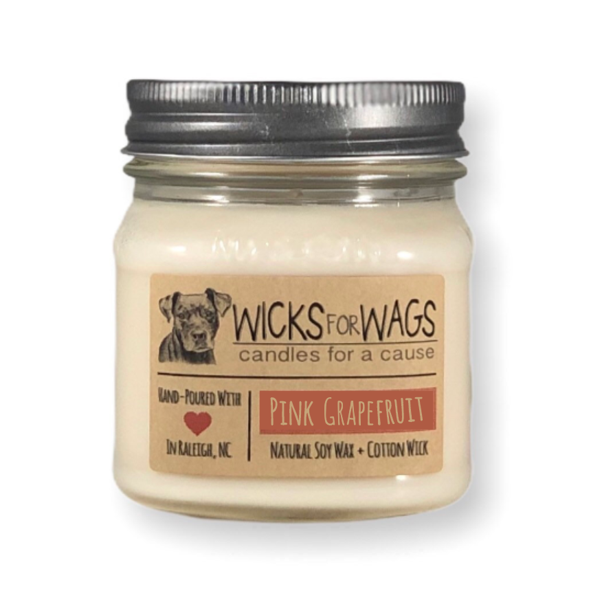 Wicks for Wags 8oz Soy Candle