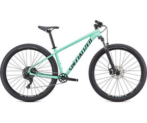 specialized comp 29 2021