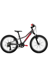 Trek Trek Precaliber 20 7-speed  2026