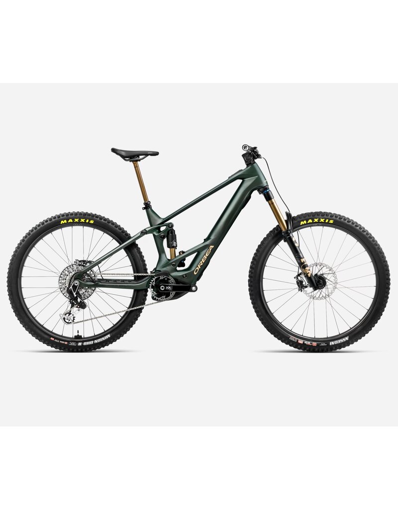Orbea Orbea Wild M-LTD 2025