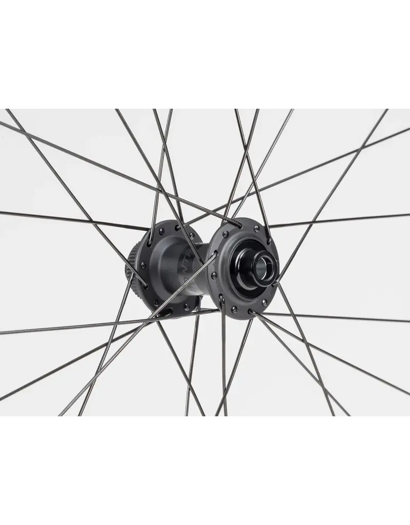 Bontrager Wheel Front Bontrager Paradigm Comp 25 Disc 12T Black