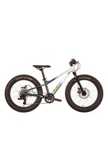 EVO Evo Cadet 20" 2025