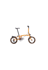 KingsDale Kingsdale C9