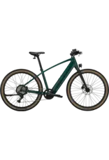 Trek Trek FX + 1 2026