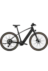 Trek Trek FX + 1 2026