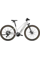 Trek Trek FX + 1 Midstep 2026