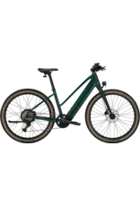 Trek Trek FX + 1 Midstep 2026