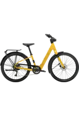 Trek Trek Verve + 1 Lowstep LT 2026