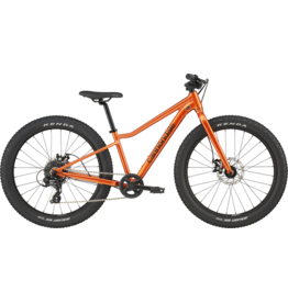 Cannondale Cannondale Kids Trail Plus 24 2026