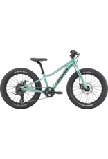 Cannondale Cannondale Kids Trail Plus 20 2026