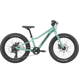 Cannondale Cannondale Kids Trail Plus 20 2026